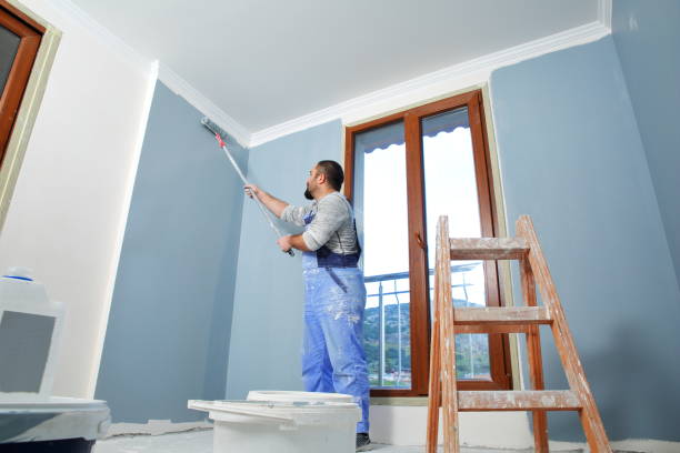 Best Black Mold Removal  in Walbridge, OH