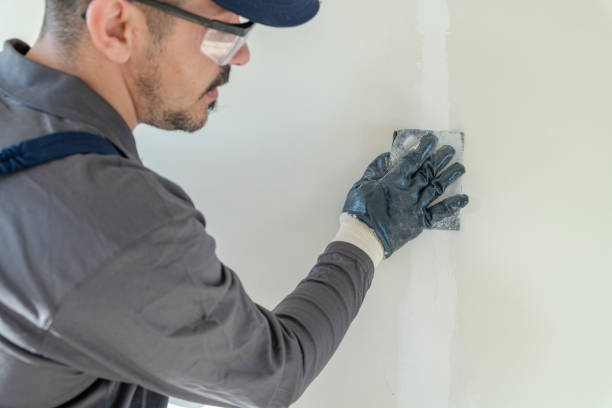 Best Forensic Mold Investigation  in Walbridge, OH