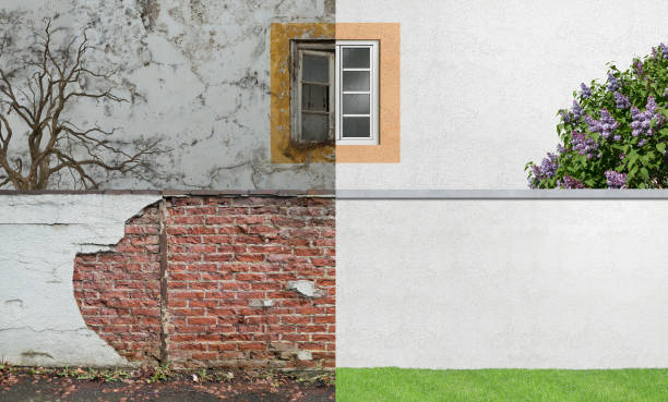Best Mold Documentation for Insurance Claims  in Walbridge, OH